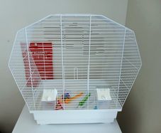 Bird cage