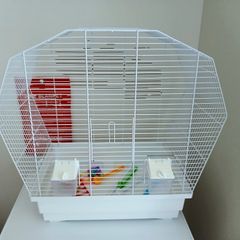 Bird cage