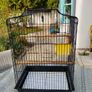 Bird Cage Image 3