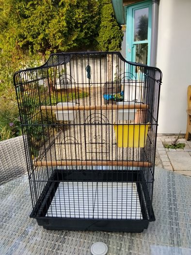 Bird Cage