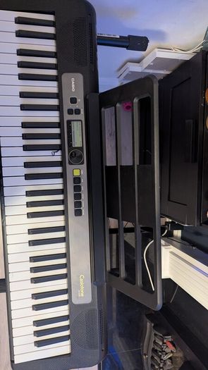 Casio Electric keyboard and stand