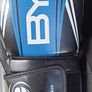 Thai pads & gloves Image 2