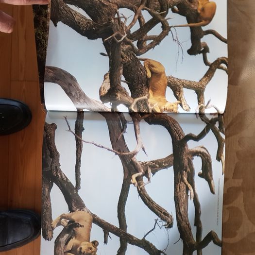 The World's Wild Places Time-life Books. 1x The Amazon.  2x Africa's Rift Valley. HARDBACK.