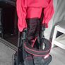 stroller buggy Image 3