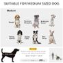 Dog Bike Trailer Pet Stroller Cart Carrier for Bicycle 360 Rotatable with Reflectors 3 Wheels Hitch Coupler Push/ Pull/ Brake Water Resistant Green Image 5