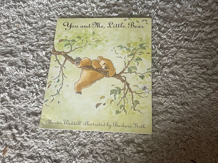 Selection of Childrens books (10 books)