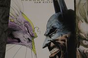 DC Comic / IDW - Batman Maxx Arkham Dreams # 1 - 3