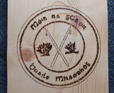 Gaa crest