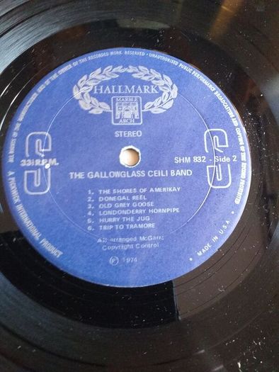 The Gallowglass Ceili Band.