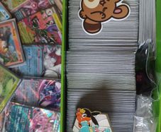 Pokemon bulk