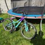 bike Image 2