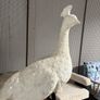 Will and I clearance Large plaster resign peacock on a mahogany stand Image 3