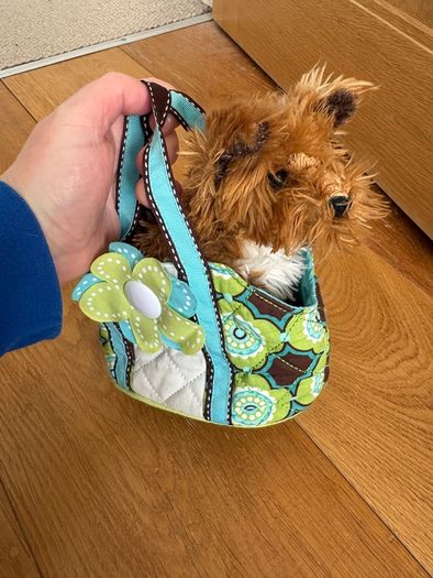 Dog stuffed animal in bag