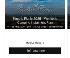 Electric Picnic Early Access Pass x2