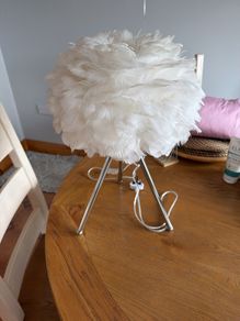 rose feather lamp