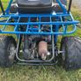 150cc quadzilla dunne buggy Image 4