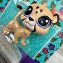 Hasbro Littlest Pet Shop 1-150 Jane Jagmore Jaguar Cat Dirty Damaged Box Please see pictures Image 4