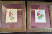 Pierre-Joseph Redoute Botanical Prints Snapdragon Raspberry Framed Pair
