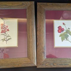 Pierre-Joseph Redoute Botanical Prints Snapdragon Raspberry Framed Pair
