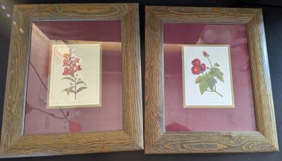 Pierre-Joseph Redoute Botanical Prints Snapdragon Raspberry Framed Pair