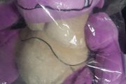 Pokemon Nidoking 30cm stuffed plush toy