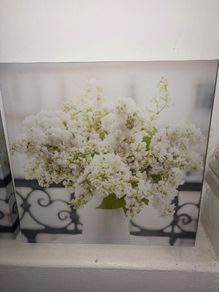 2 Flower Paintings