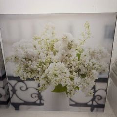 2 Flower Paintings