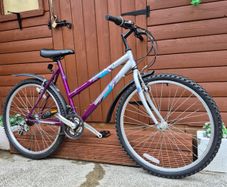 Ladies Mountain Bike