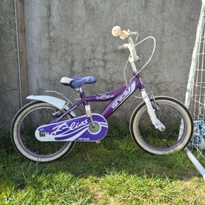 Girl Bycycle Great  Condition