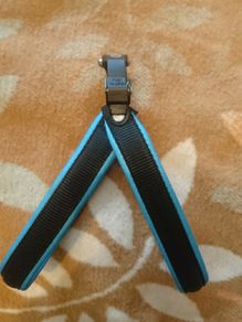 Smart dog harnesses