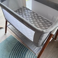 Moses daytime cot
