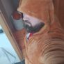 jedi robe dressing gown Image 3