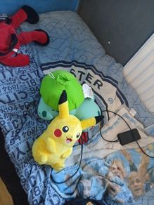 pokemon dolls