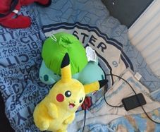 pokemon dolls