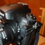 Nikon D800 + 105mm Macro Lens + Macro Flash Image 3