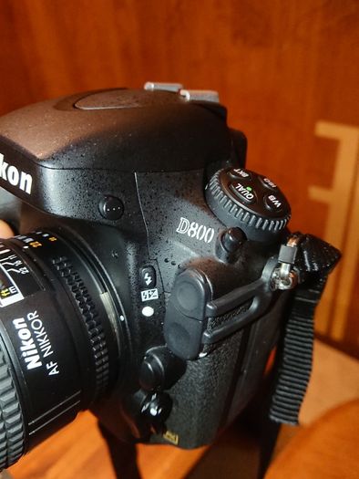 Nikon D800 + 105mm Macro Lens + Macro Flash