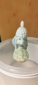 Poodle