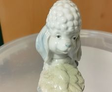 Poodle