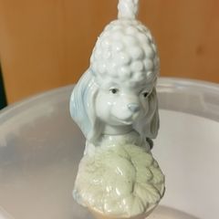 Poodle