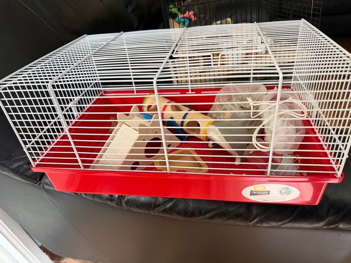 Hamster cage