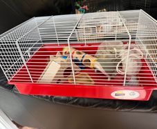 Hamster cage