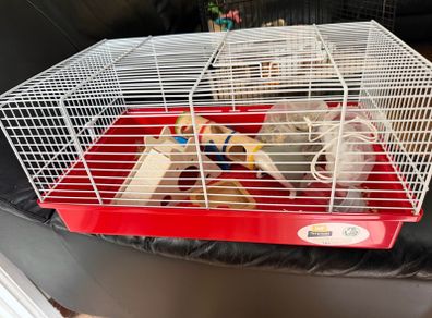 Hamster cage