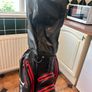 lynx prowler golf bag Image 9