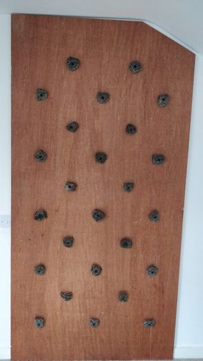 25 Climbing Wall Holds / Climbing Stones