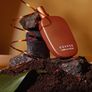 Comme de Garsons Cooper   New TESTER type 100 ml Image 3