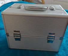 Professional beauty case