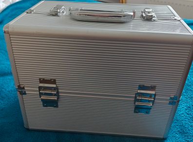 Professional beauty case