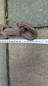 motorbike heavy duty chain 175cm