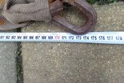 motorbike heavy duty chain 175cm