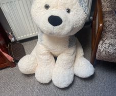 big dog teddy